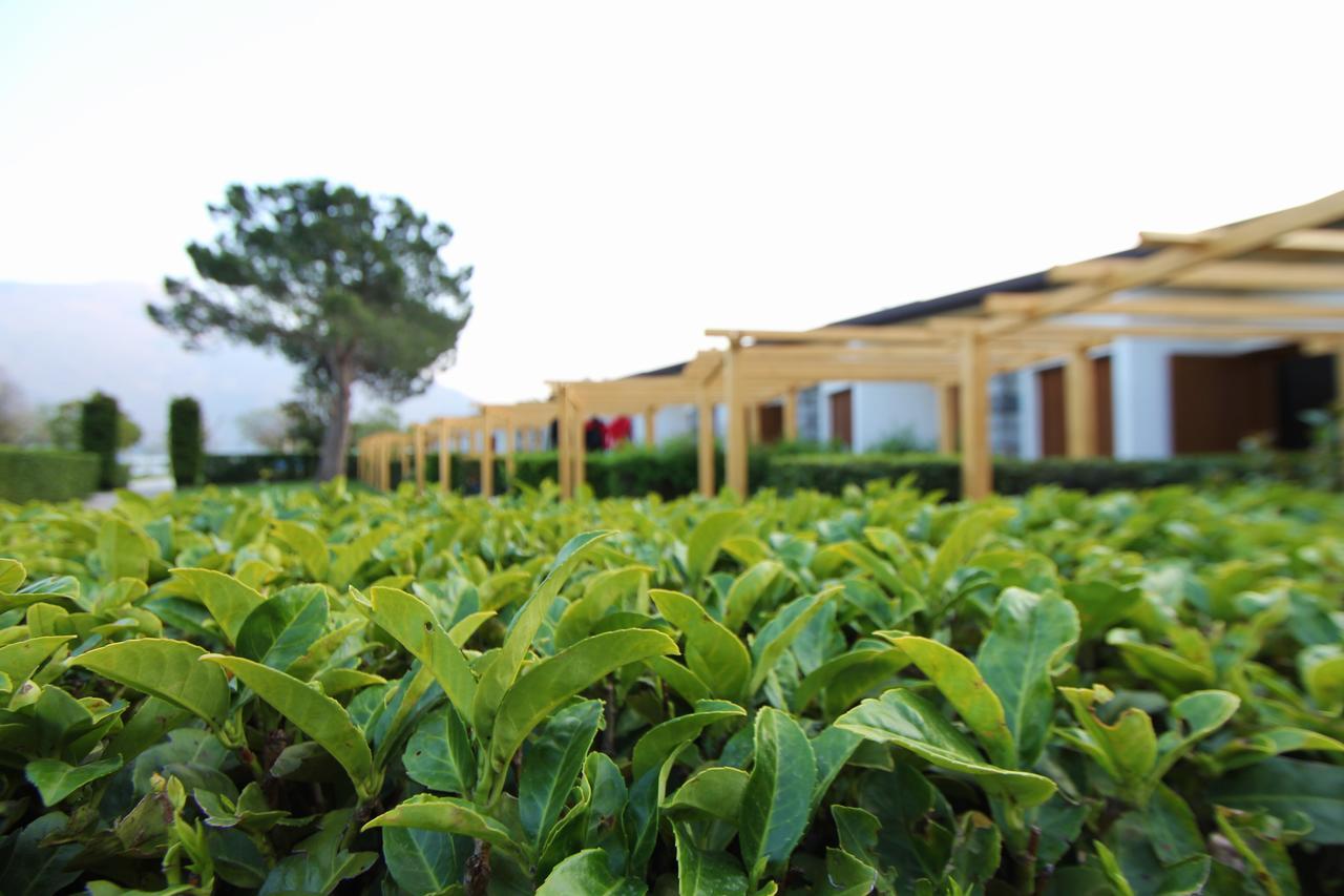 Hotel Bungalows Europa Domaso Ngoại thất bức ảnh